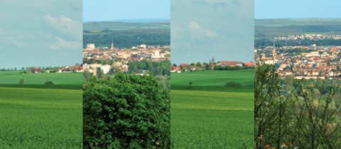 Agglomération messine : les secteurs porteurs pour l’économie du territoire